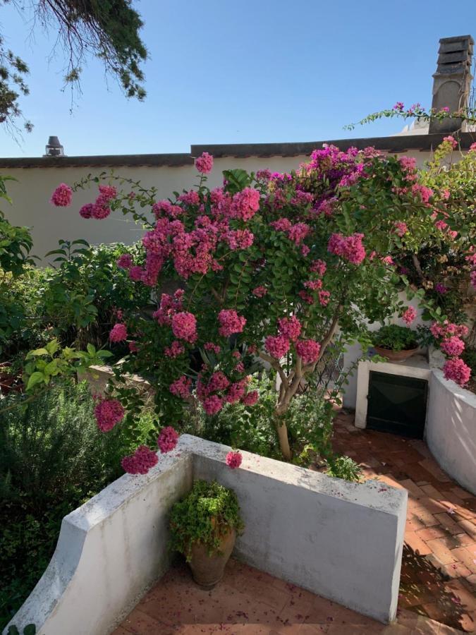Il Geranio Bed & Breakfast Anacapri  Exterior foto