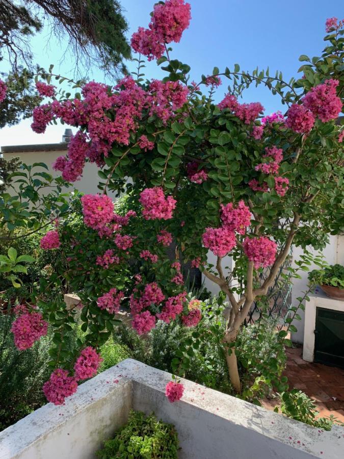 Il Geranio Bed & Breakfast Anacapri  Exterior foto